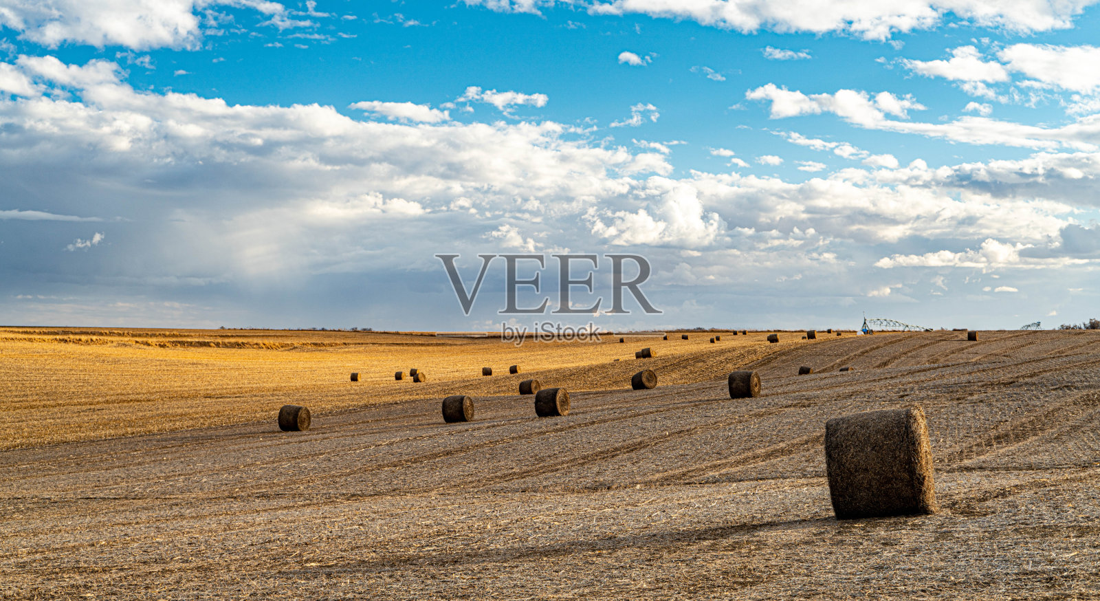 在一些起伏的山丘上捆着干草照片摄影图片