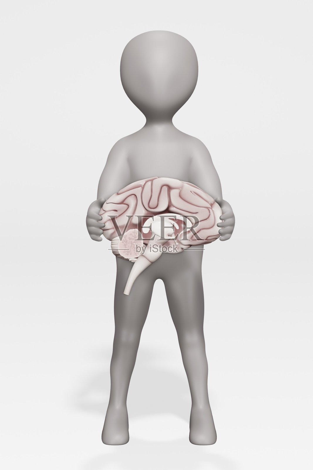 人物与人脑的3D渲染照片摄影图片