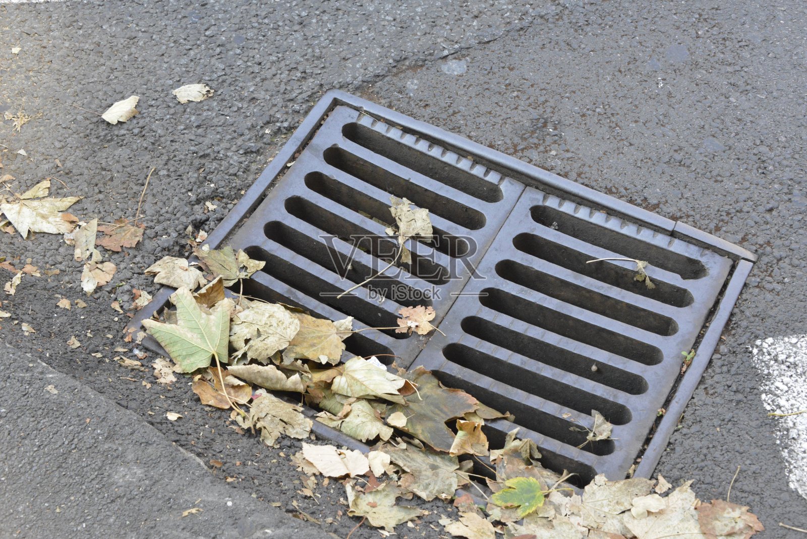 下水道井盖用于排水雨水，上面覆盖着落叶照片摄影图片
