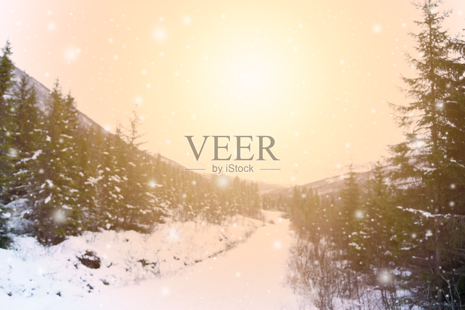 冬天的背景照片摄影图片