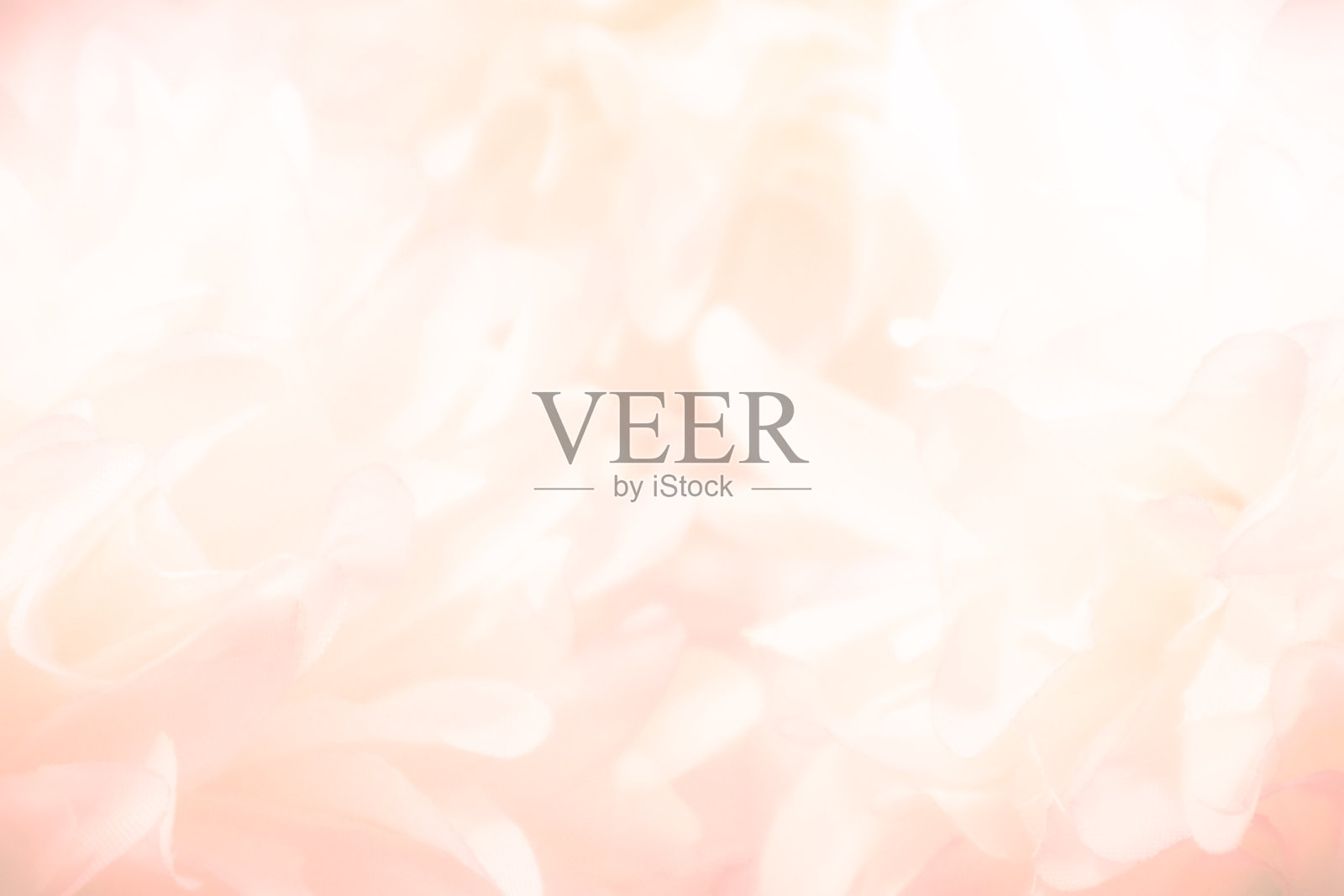 美丽抽象的颜色橙色粉红和白色的花背景和粉红色的花框架和白色和粉红色的叶子纹理背景照片摄影图片