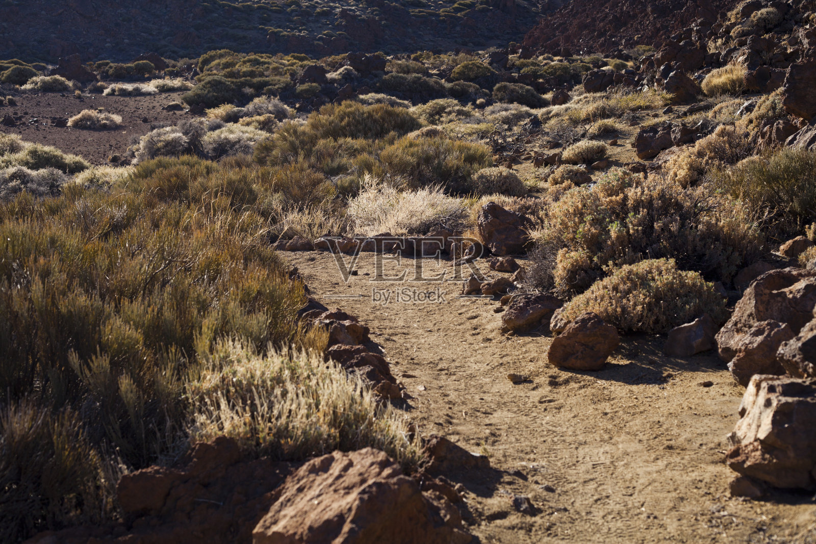 西班牙加那利群岛特内里费岛上的泰德国家公园。照片摄影图片