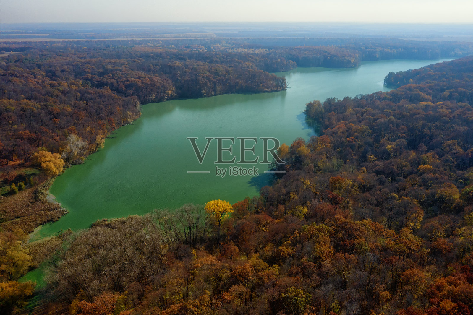 乌克兰。卡查诺夫卡宫和公园。附近是乌克兰切尔尼戈夫地区伊奇扬斯基地区的村庄。照片摄影图片