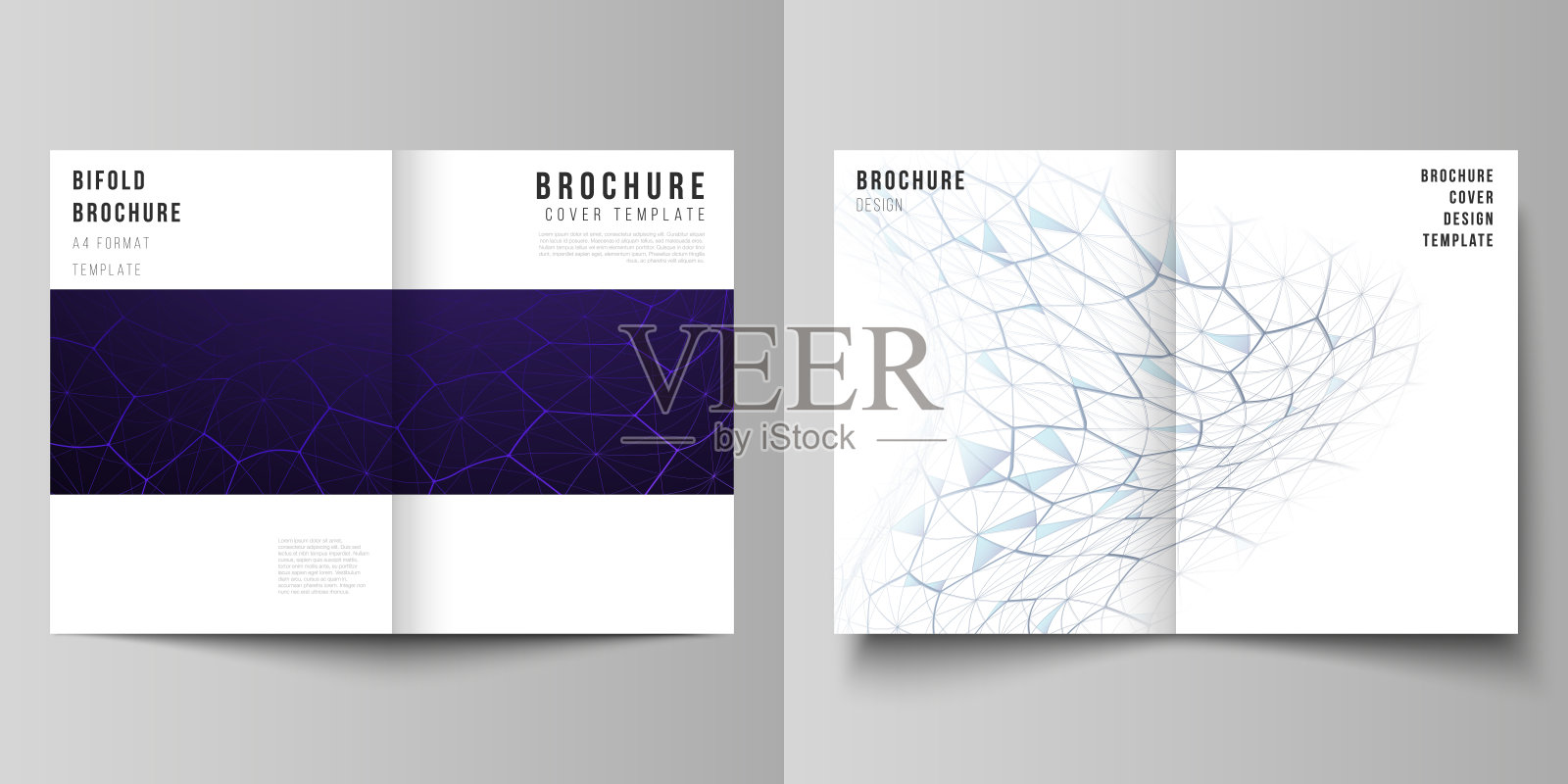 矢量布局的两个A4格式现代封面模型设计模板双折小册子。数字技术与大数据概念具有六边形，点线相连，科学医学背景。设计模板素材