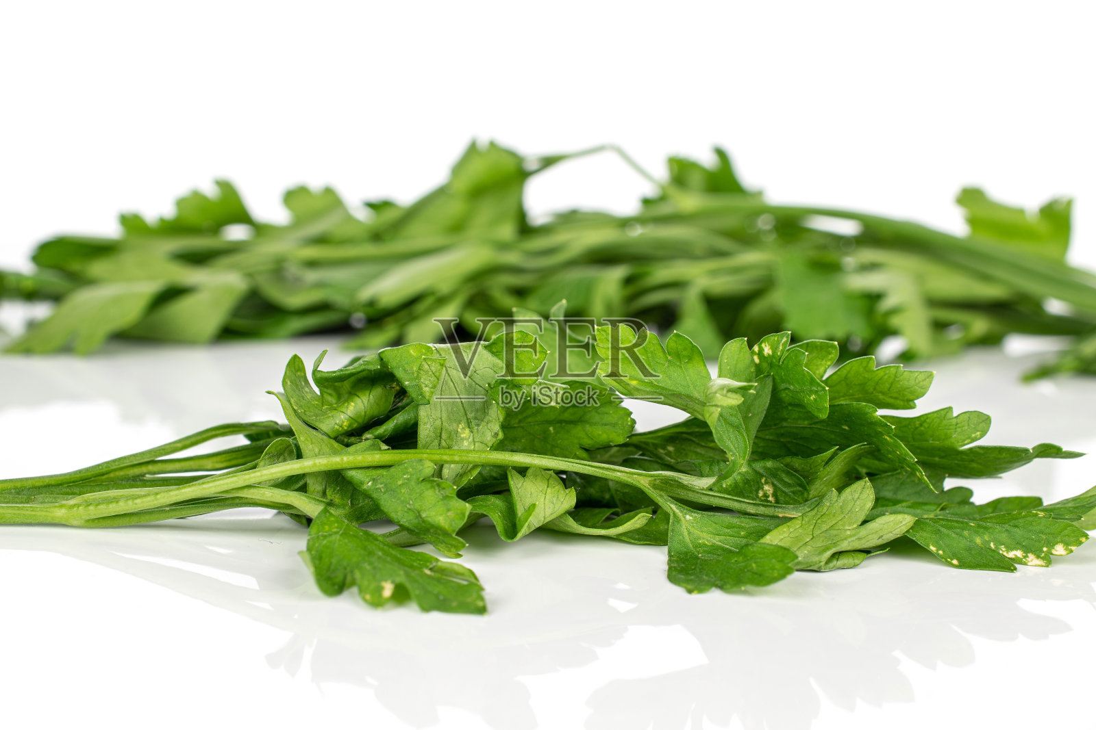 在白色上孤立的扁平叶欧芹照片摄影图片