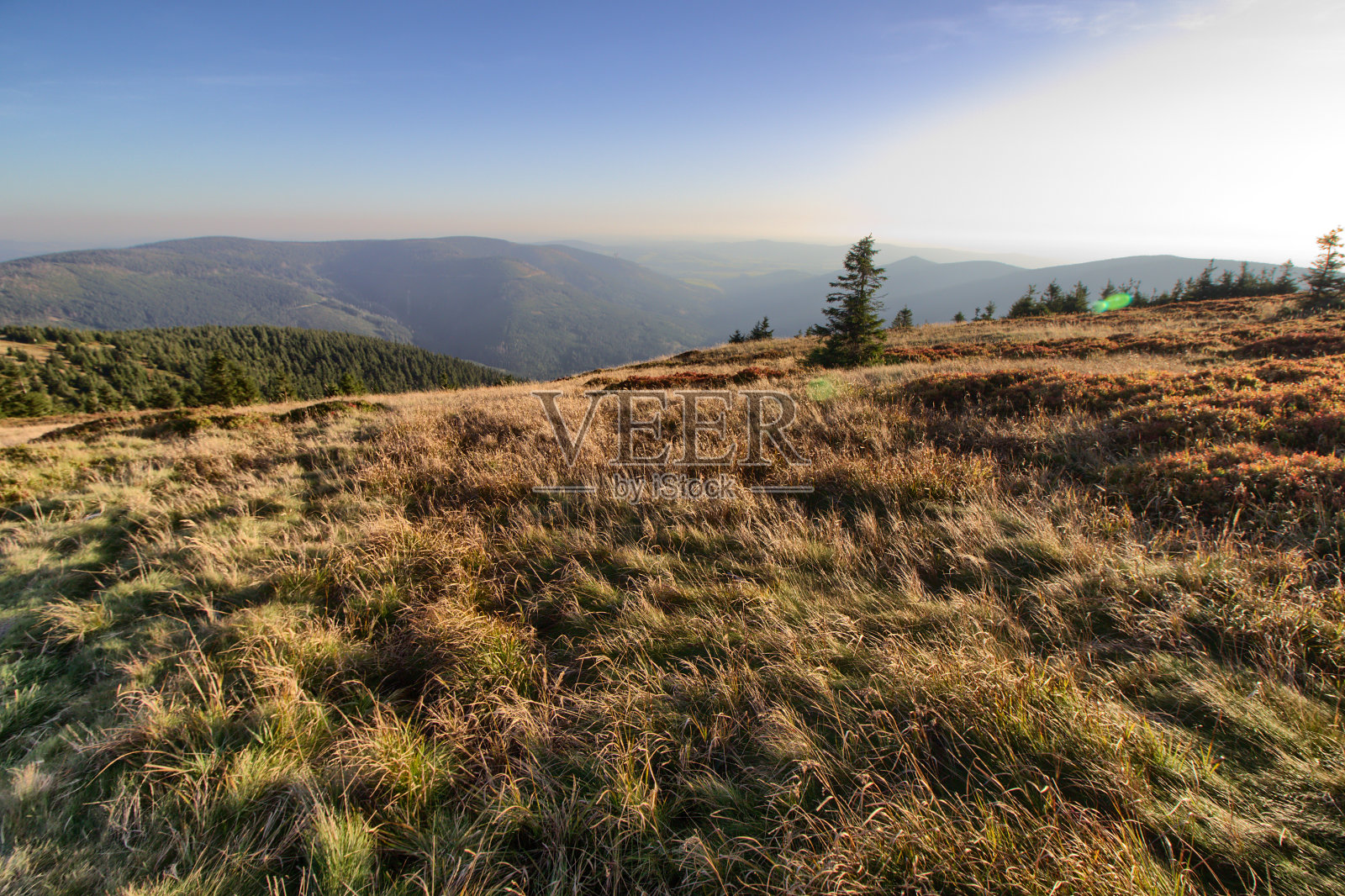波兰喀尔巴阡斯涅茨尼克山的秋天照片摄影图片