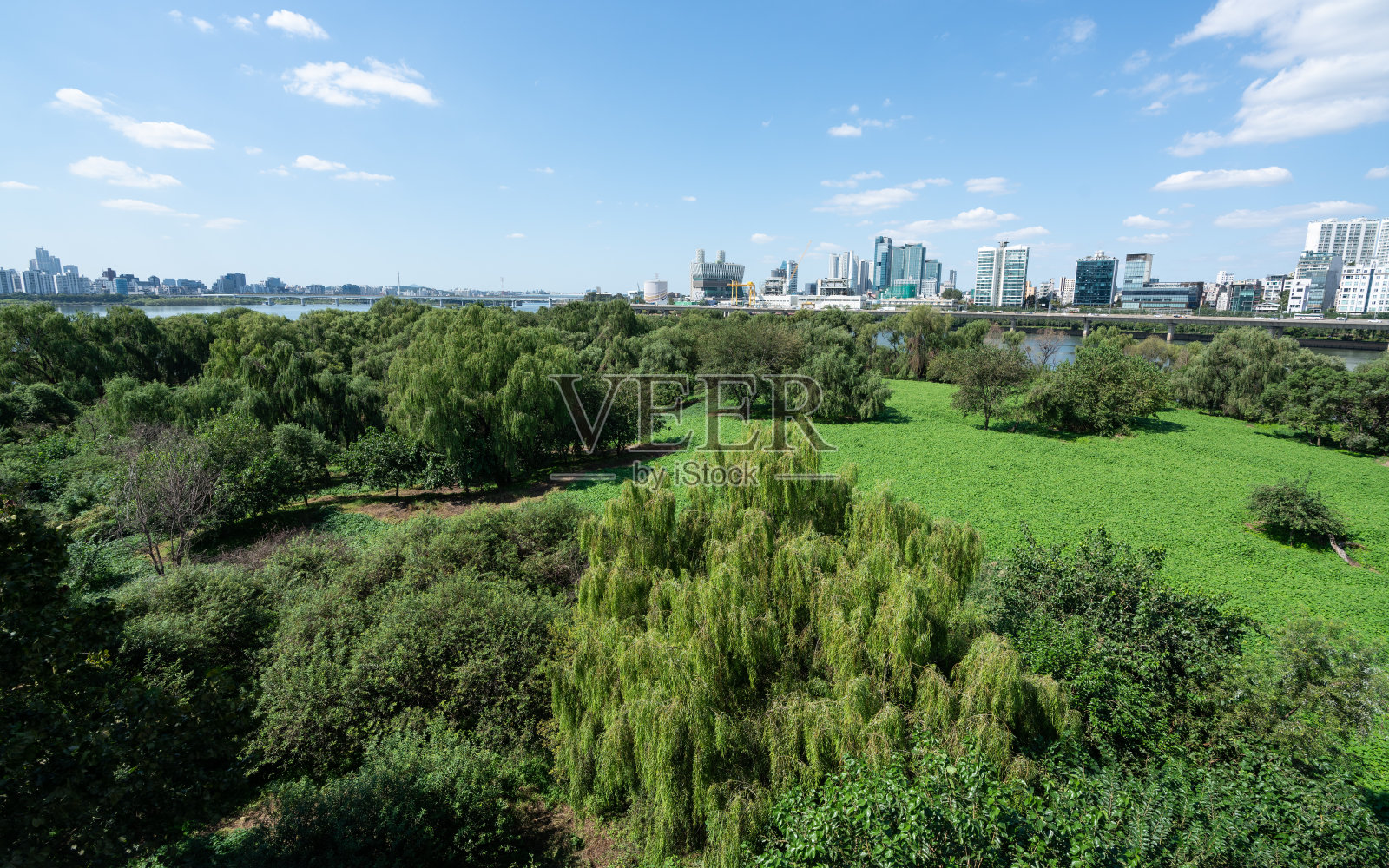Bamseom岛是韩国首尔中部汉江中央的一个无人居住的自然保护区照片摄影图片