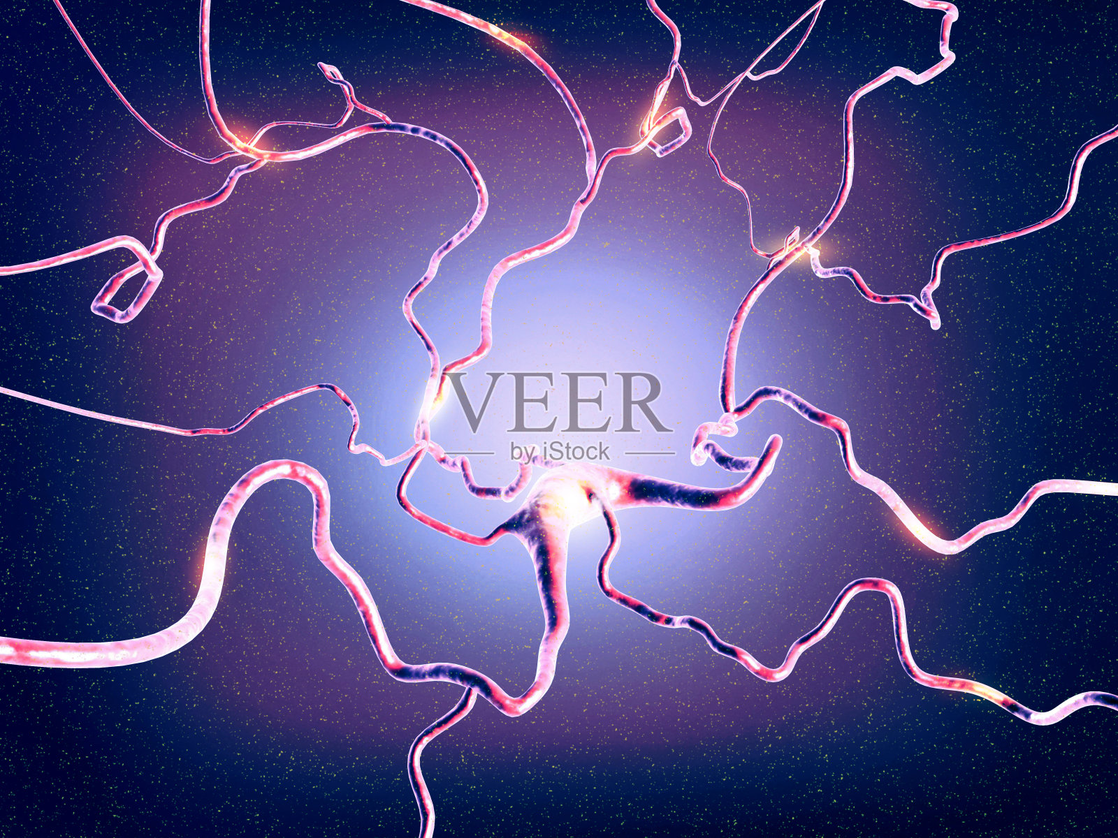 大脑中的神经网络照片摄影图片