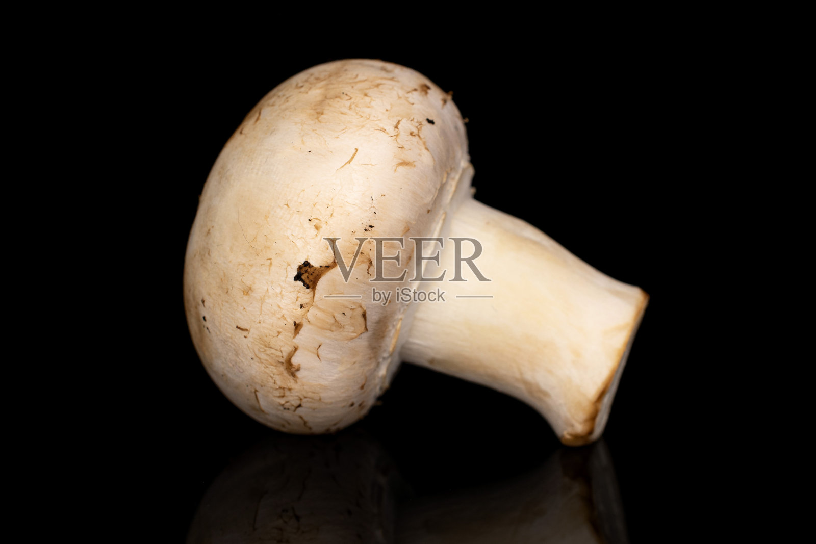 新鲜的白色蘑菇孤立在黑色玻璃上照片摄影图片