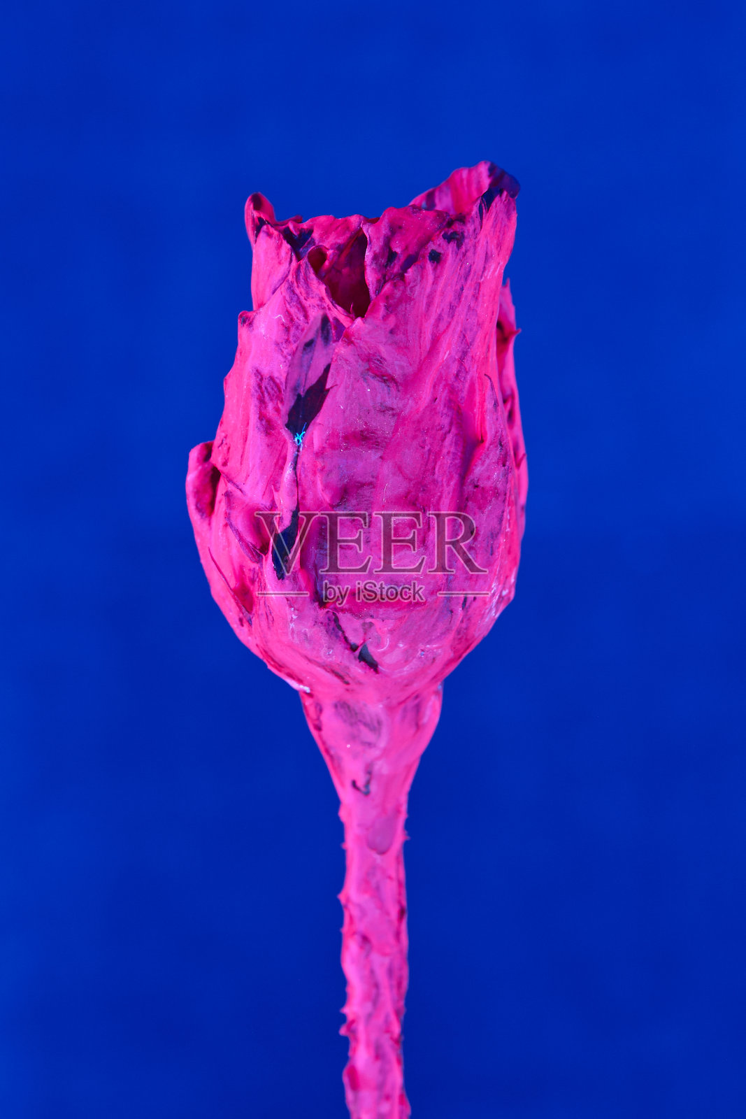 花与霓虹灯的背景。有选择性的重点照片摄影图片