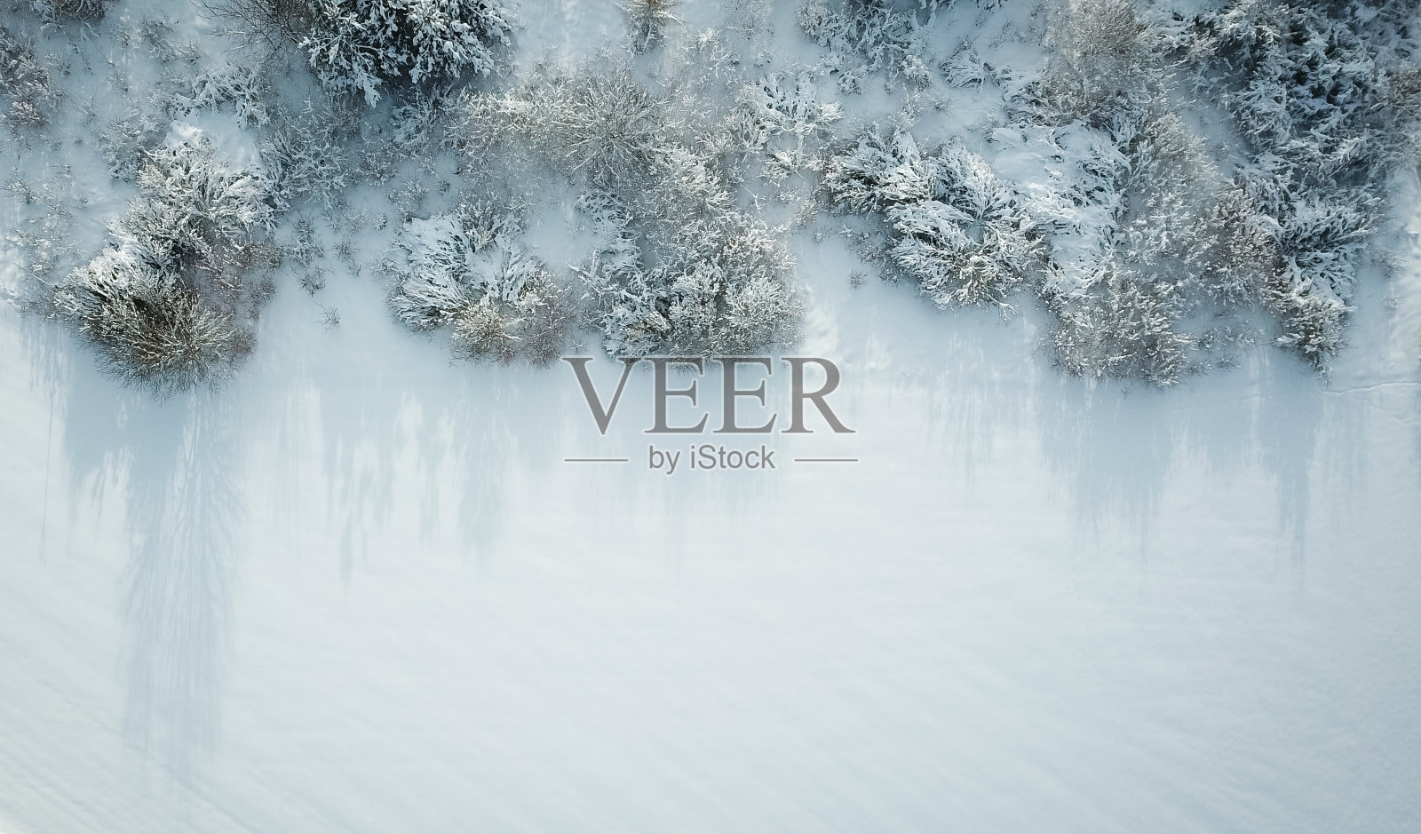 从上面的冬季森林草地照片摄影图片