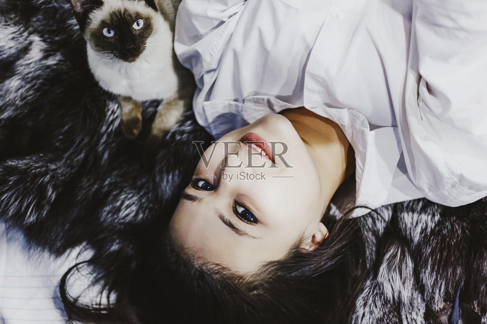 年轻的中东女人躺在床上和她的暹罗猫玩耍。宠物爱心概念。可爱的女孩和小猫玩耍的俯视图照片摄影图片