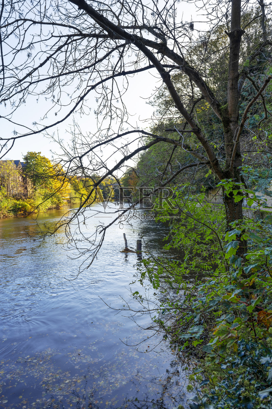 秋天，英格兰东北部达勒姆郡的乡村里，一条缓慢流动的河流蜿蜒流过。照片摄影图片