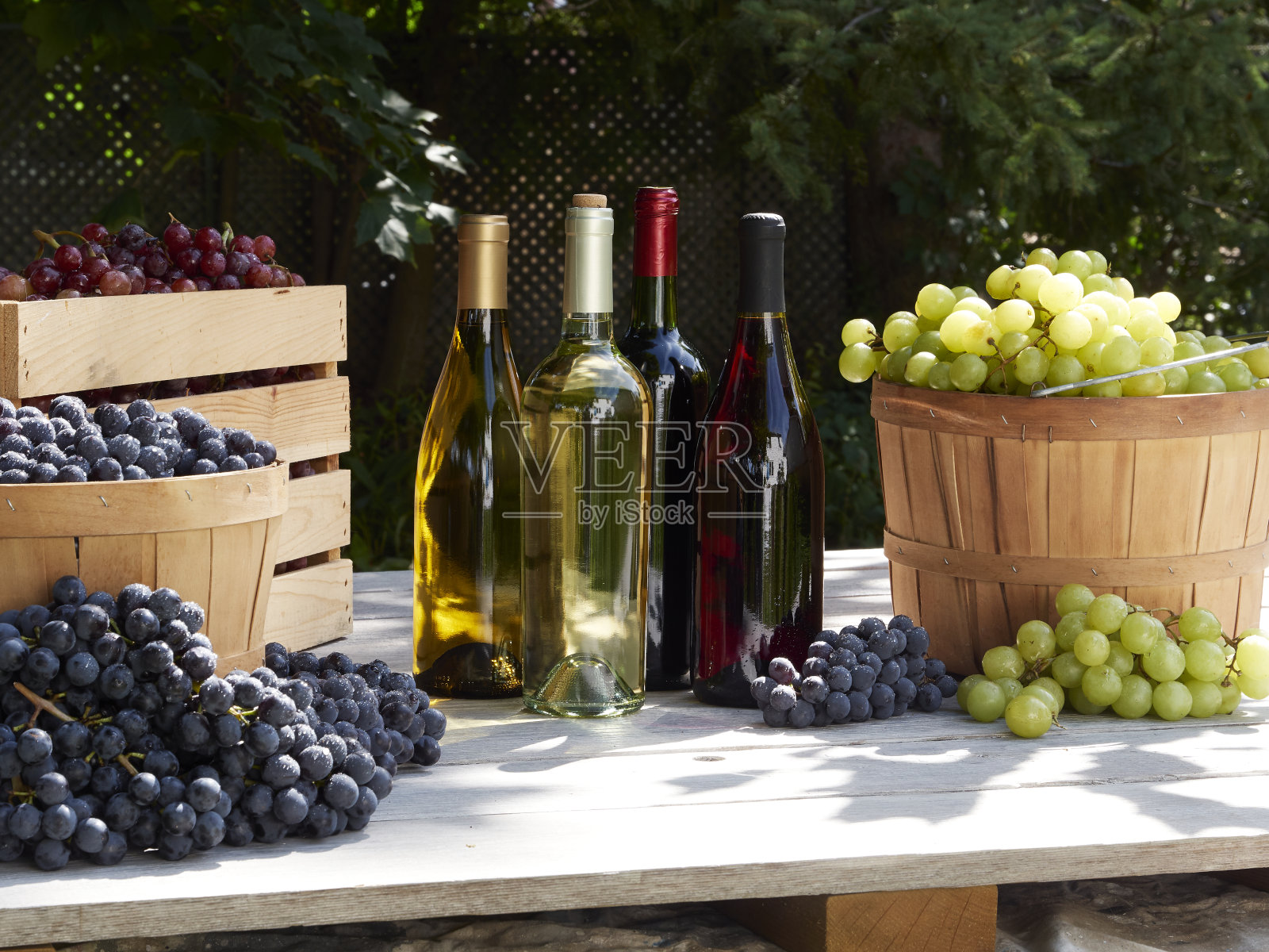 在阳光的照射下，屋外的篮子里装着红、绿、蓝葡萄，还有红、白葡萄酒照片摄影图片