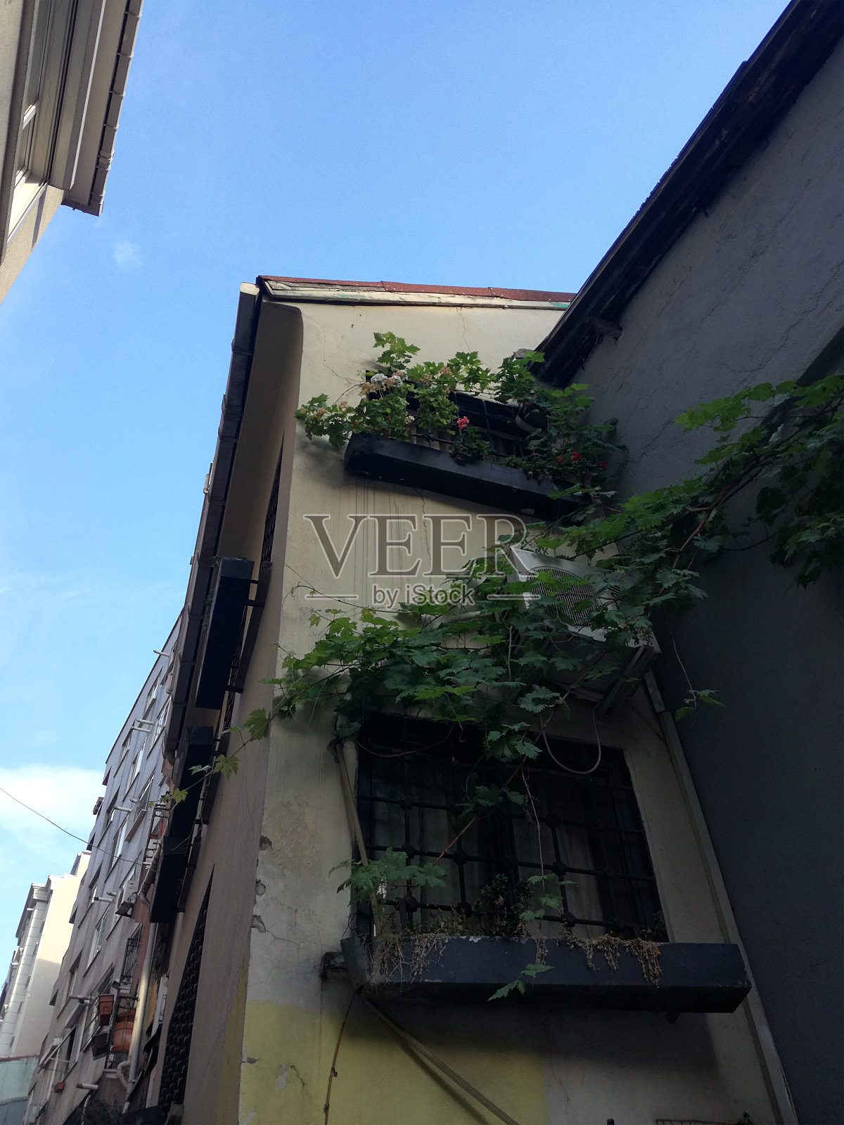 生活方式照片摄影图片