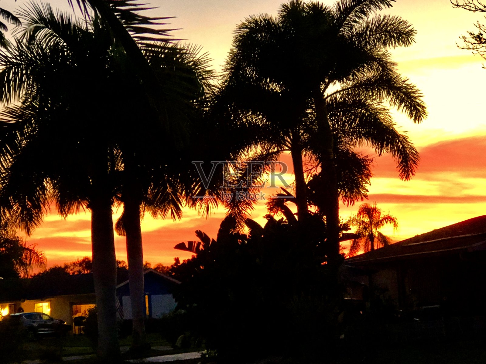 热带日落照片摄影图片