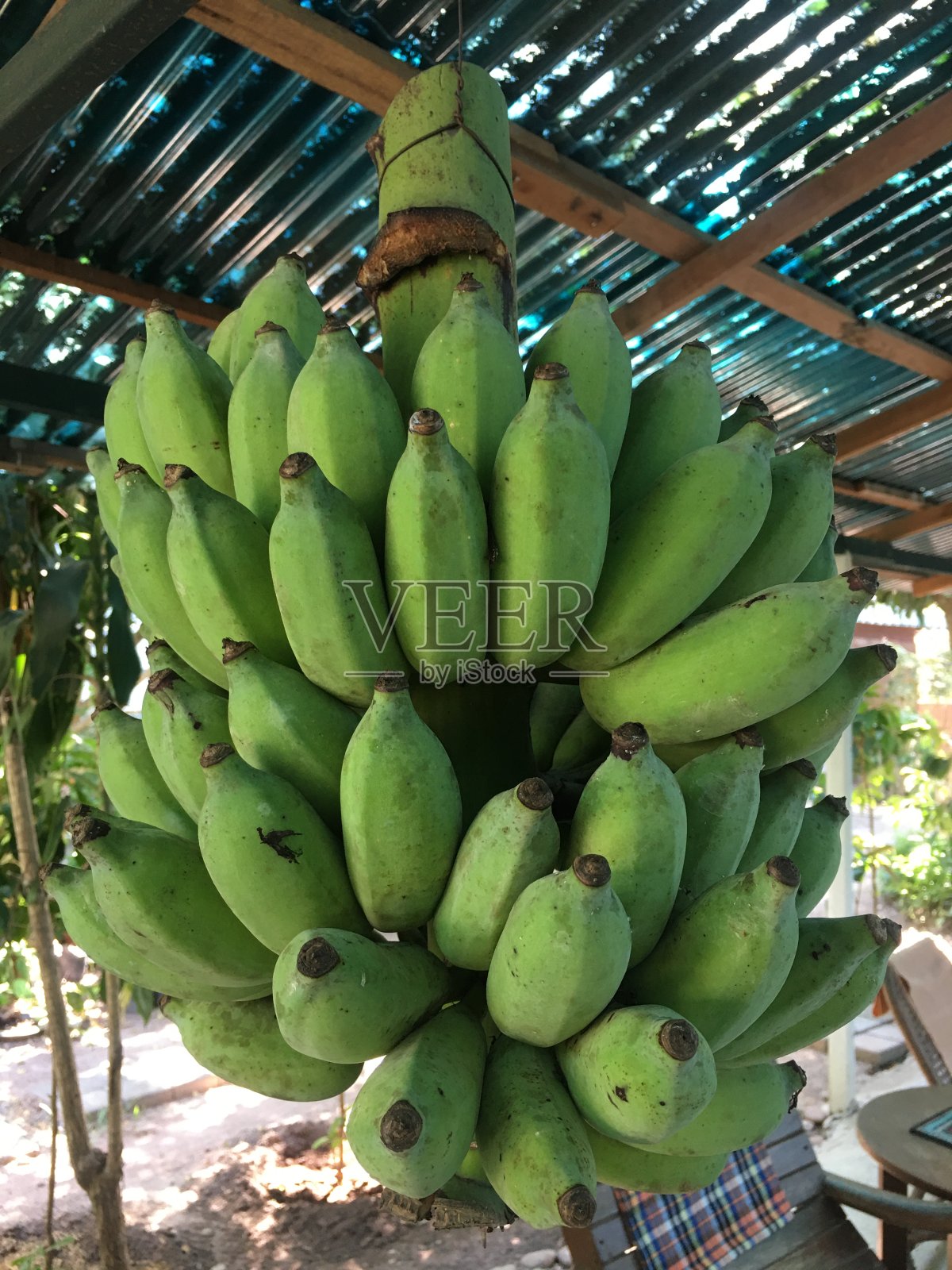 大梳香蕉在房子里照片摄影图片