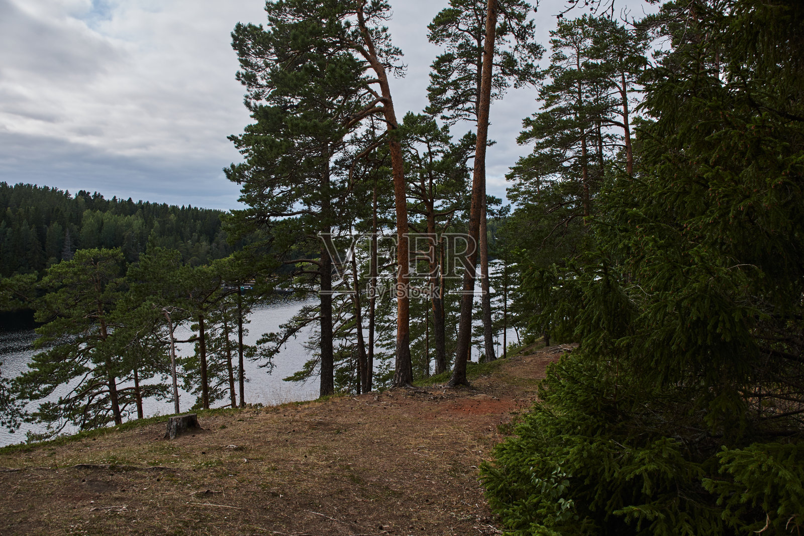 卡累利阿的本质照片摄影图片