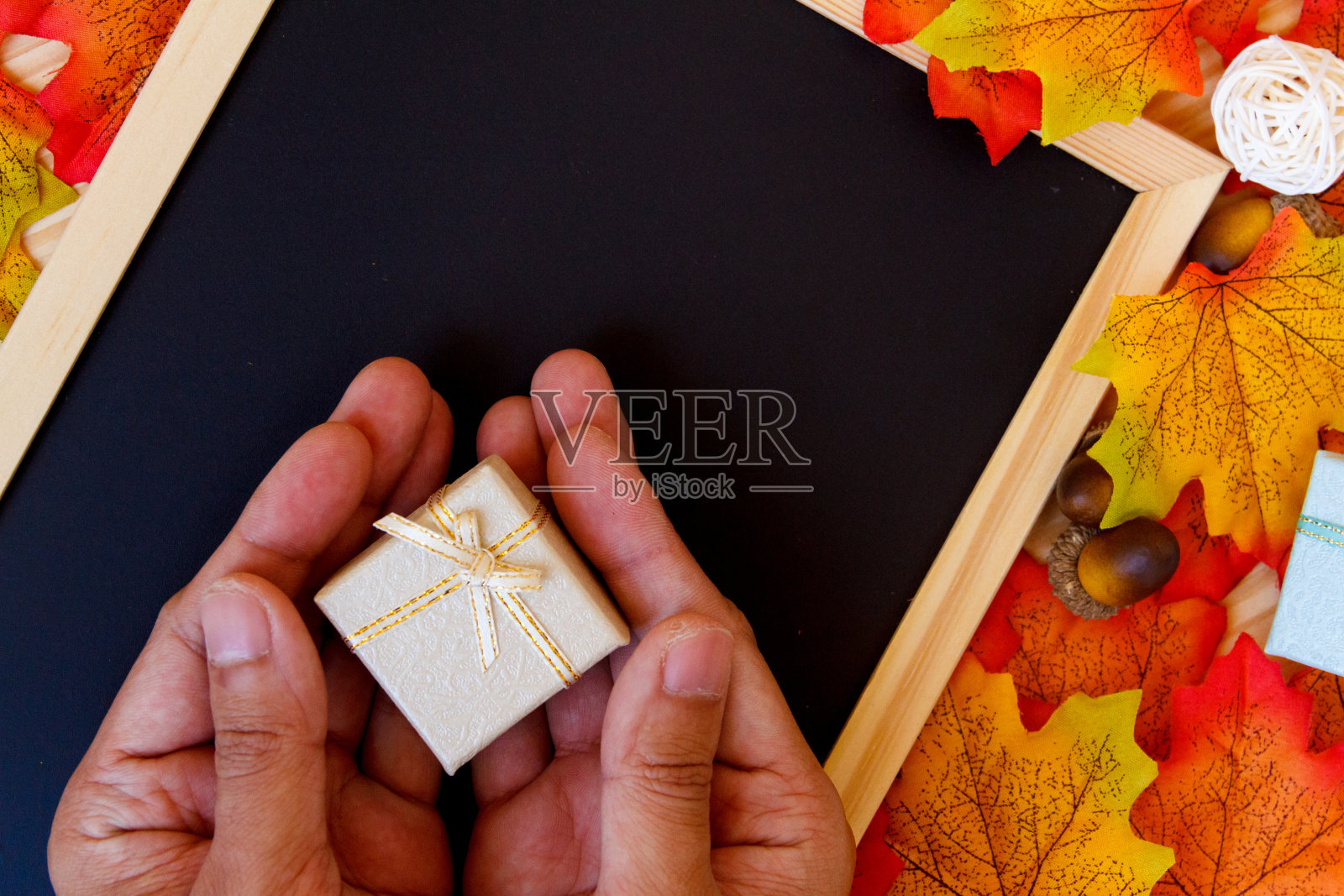 手拿迷你礼品盒，枫叶和黑色背景的黑板。照片摄影图片