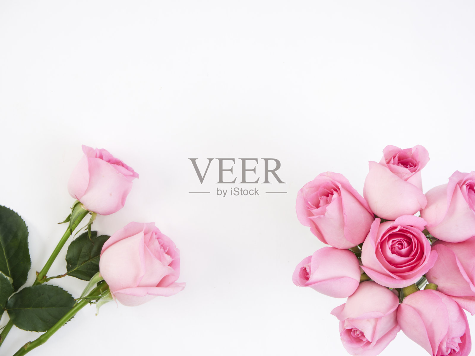 白色背景的花瓶上的一束粉色玫瑰。婚礼花束。近距离照片摄影图片