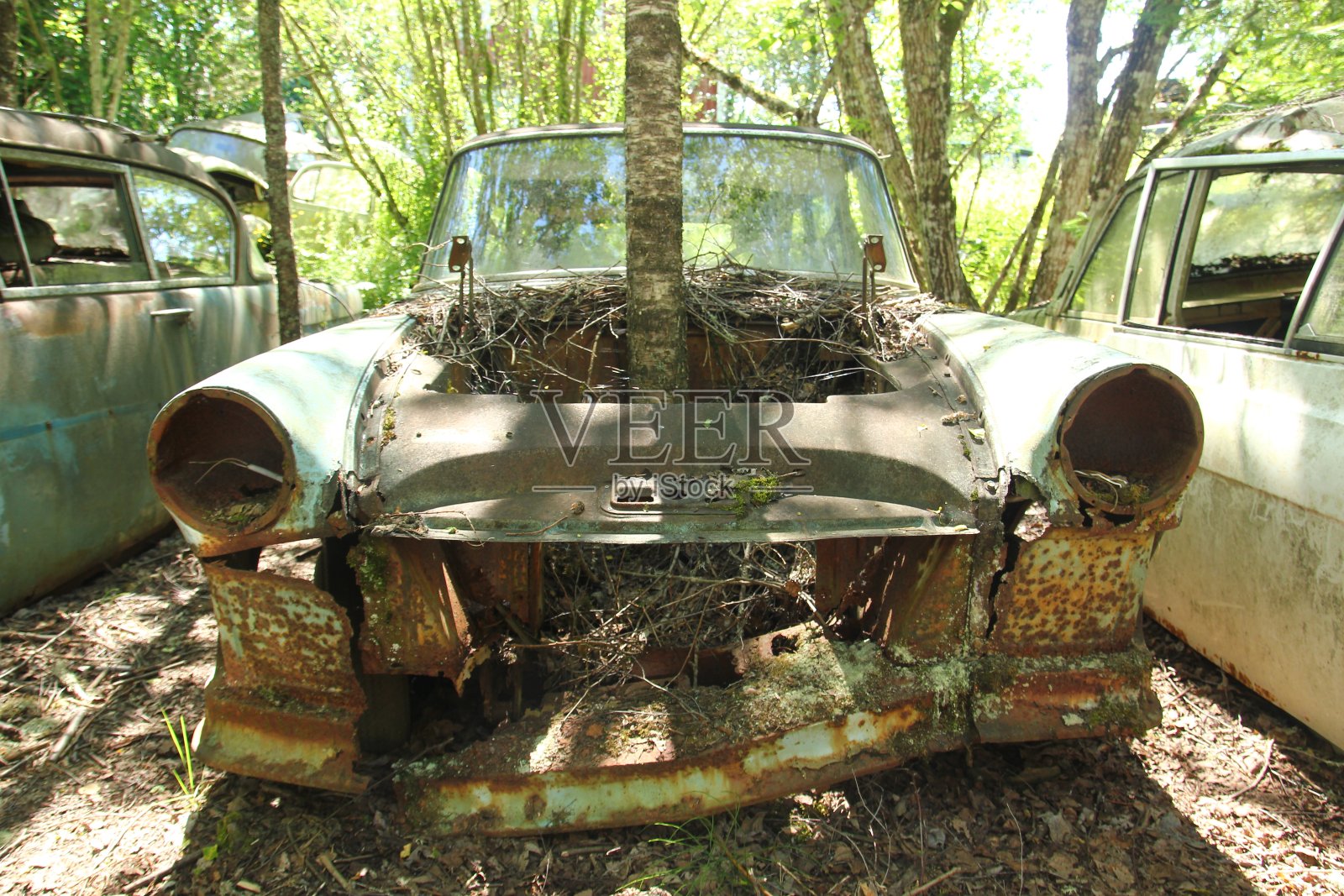 汽车变成了残骸照片摄影图片