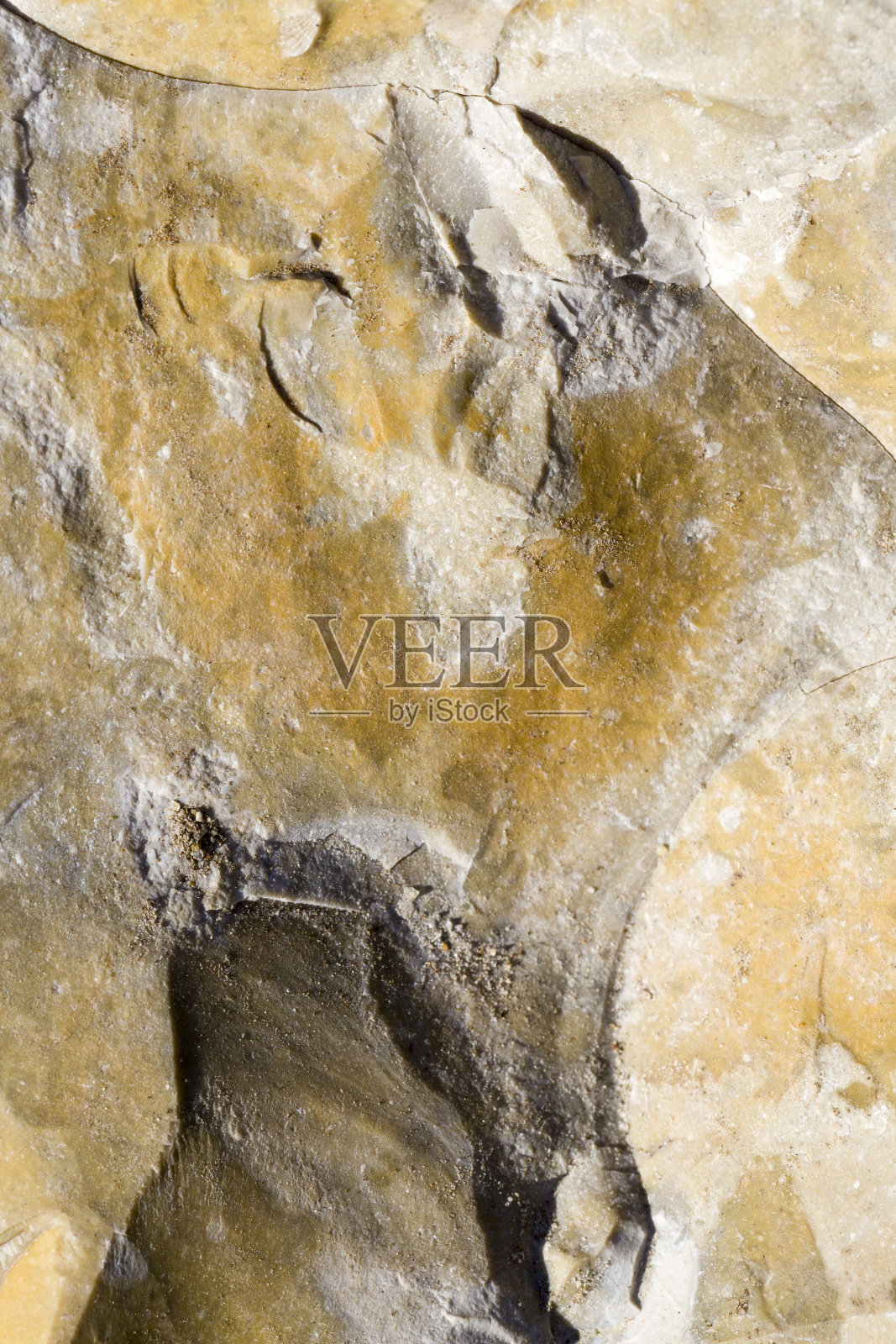 真正的石结构照片摄影图片