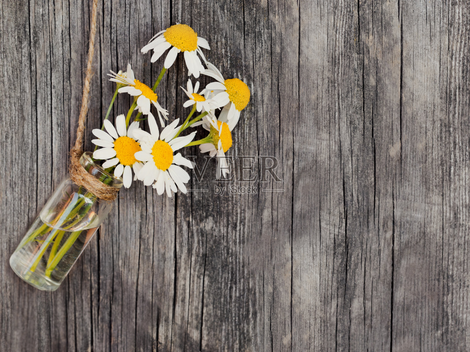 质朴的风化木桌上放着白色雏菊花照片摄影图片