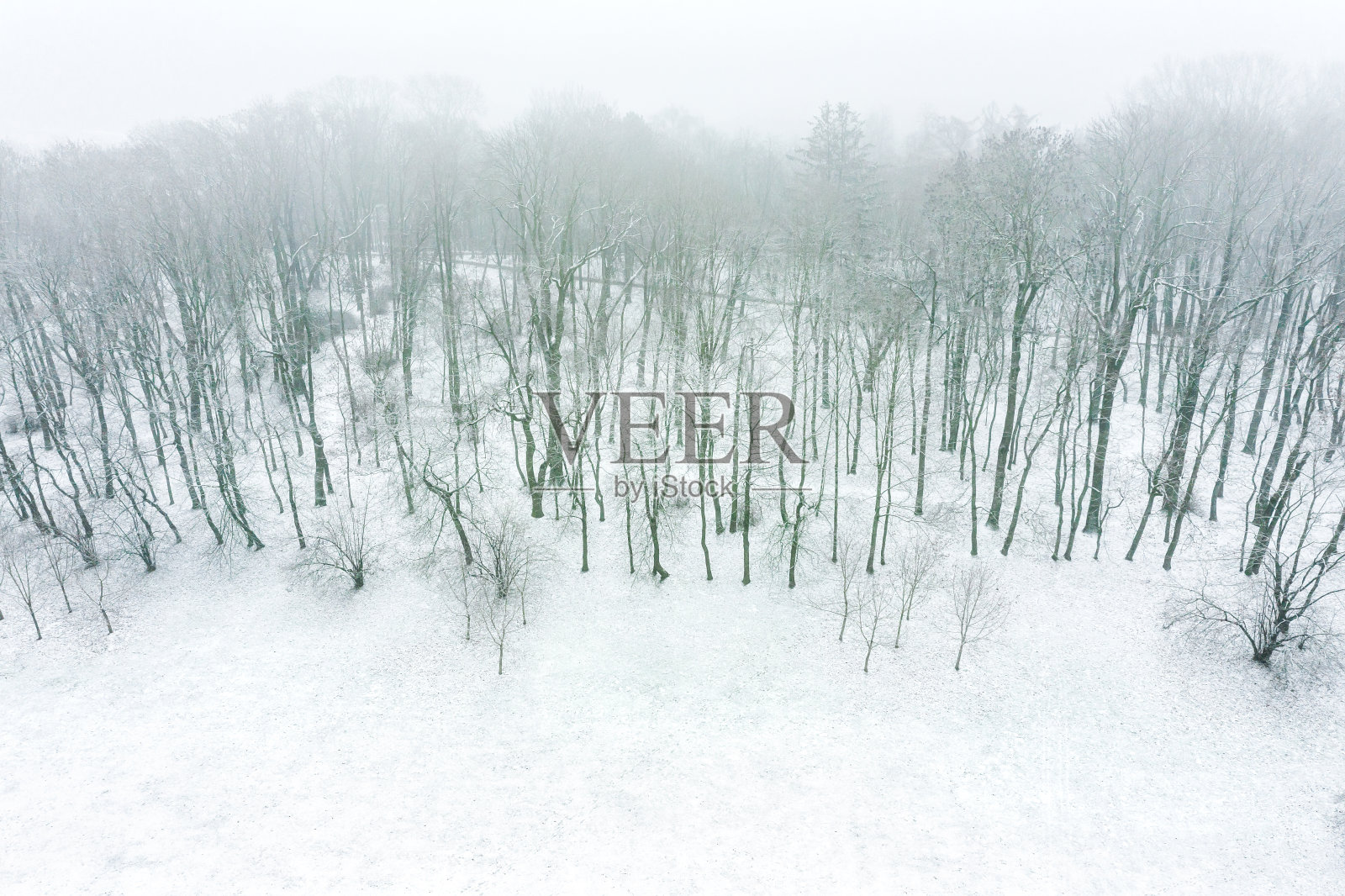 冬季公园景观在多雾天气。鸟瞰图照片摄影图片