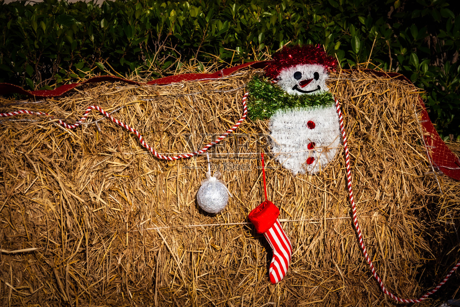 如何在这个节日减少你的生态足迹照片摄影图片