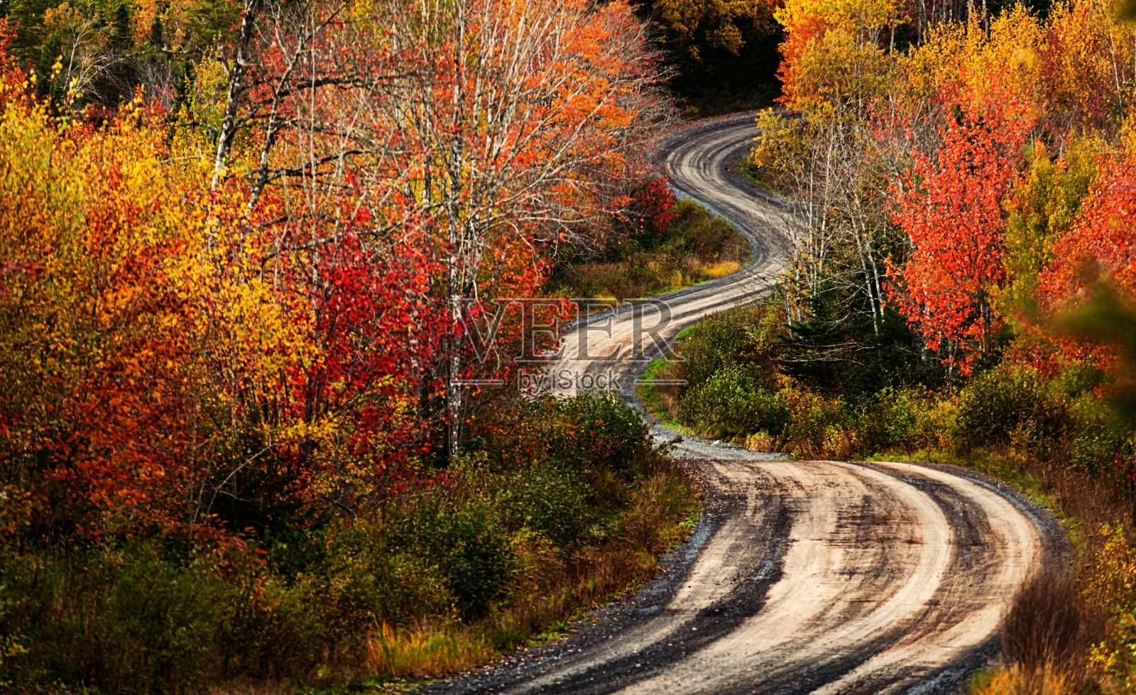 秋天的乡村路照片摄影图片