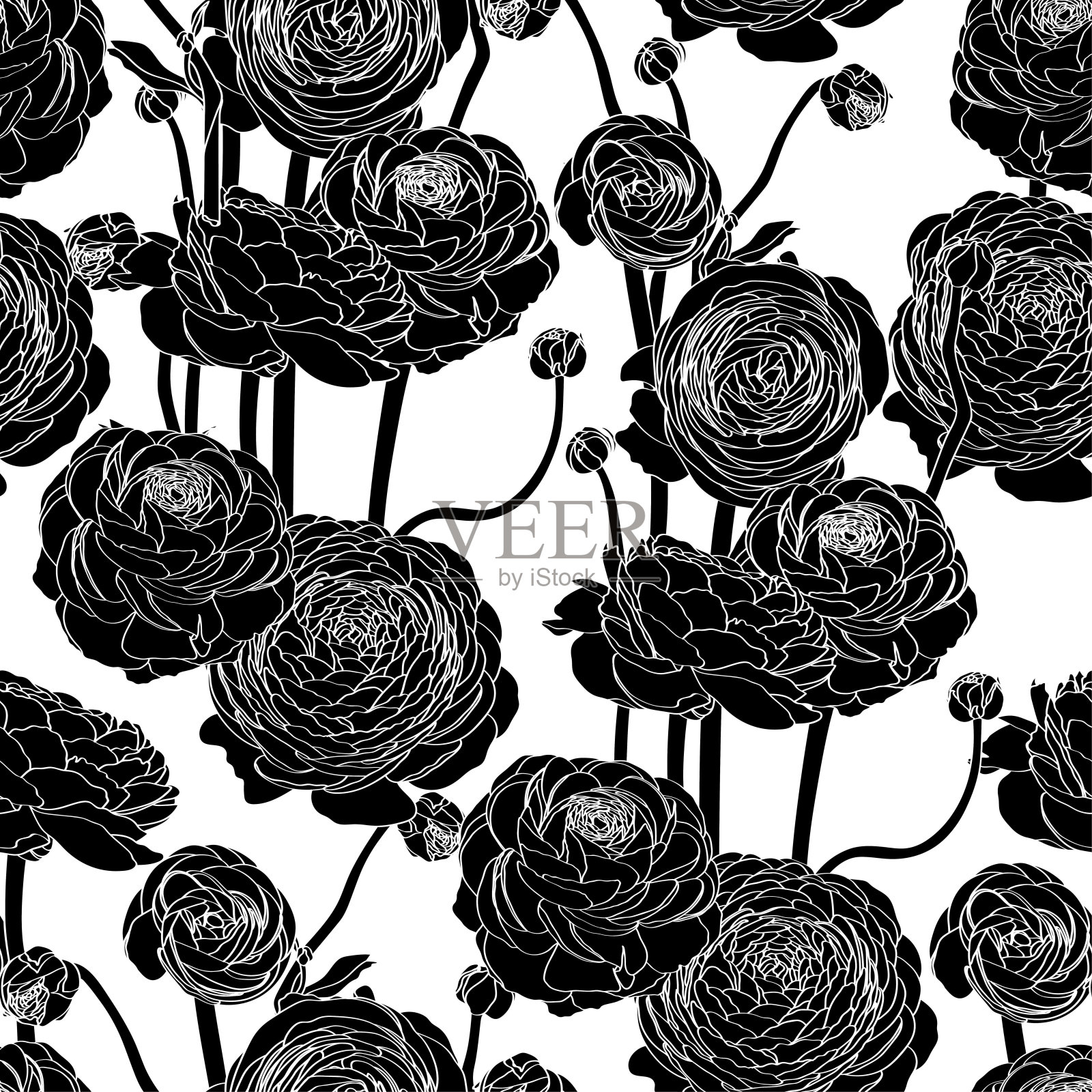 优雅无缝图案用手绘线毛茛花。花图案婚礼请柬，贺卡，剪贴簿，印刷，礼品包装，制造。插画图片素材