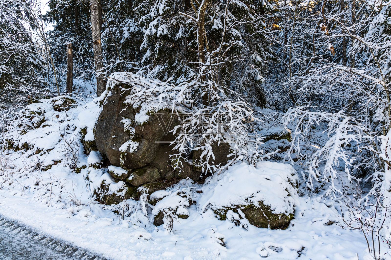 美丽的冬天。冬天的雪树。冬天的一天。美丽的冬天背景。照片摄影图片