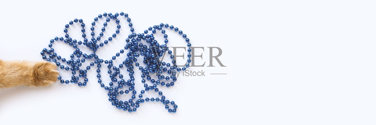 红猫用爪子装饰新年照片摄影图片