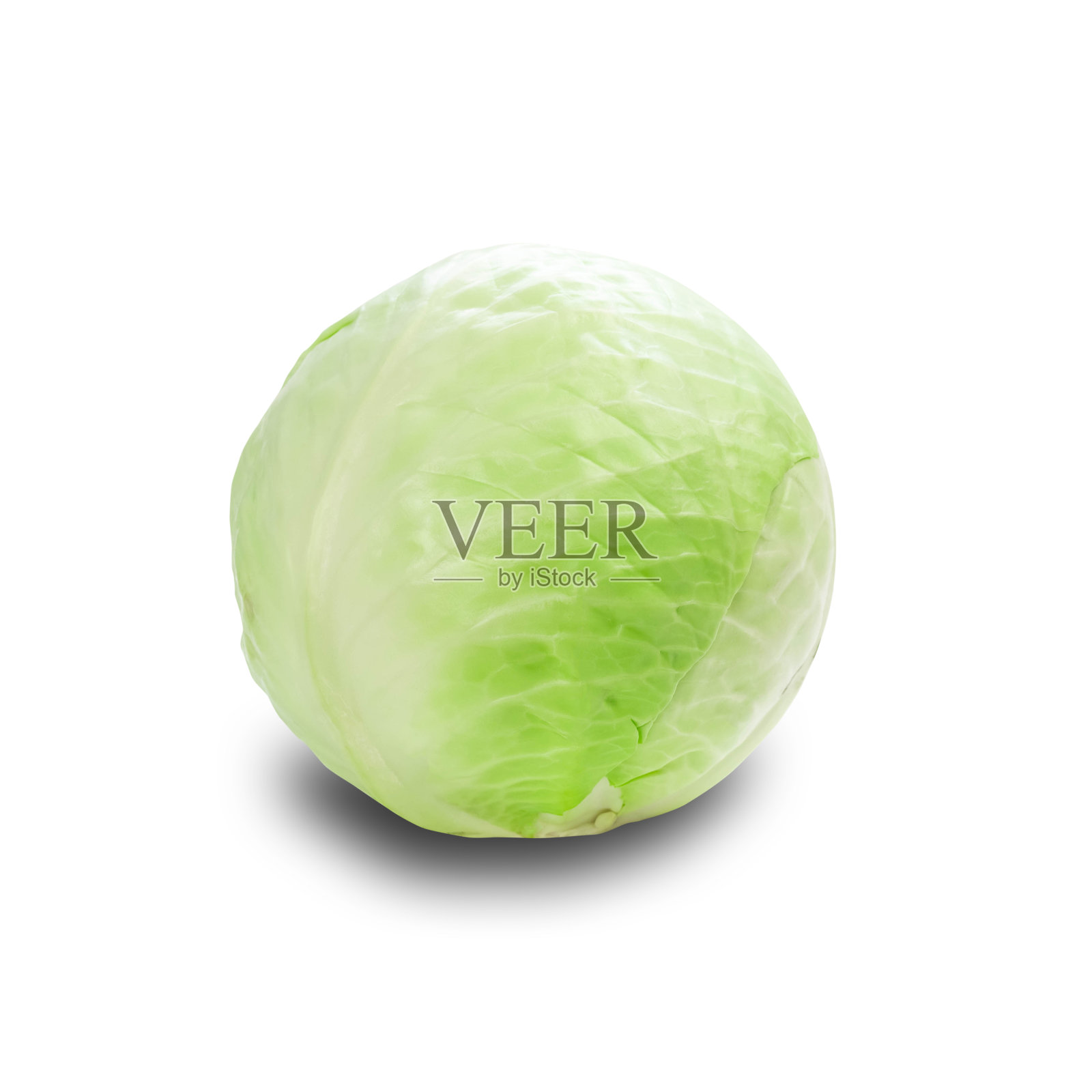 新鲜的青菜头。关闭了。在白色背景上隔离照片摄影图片