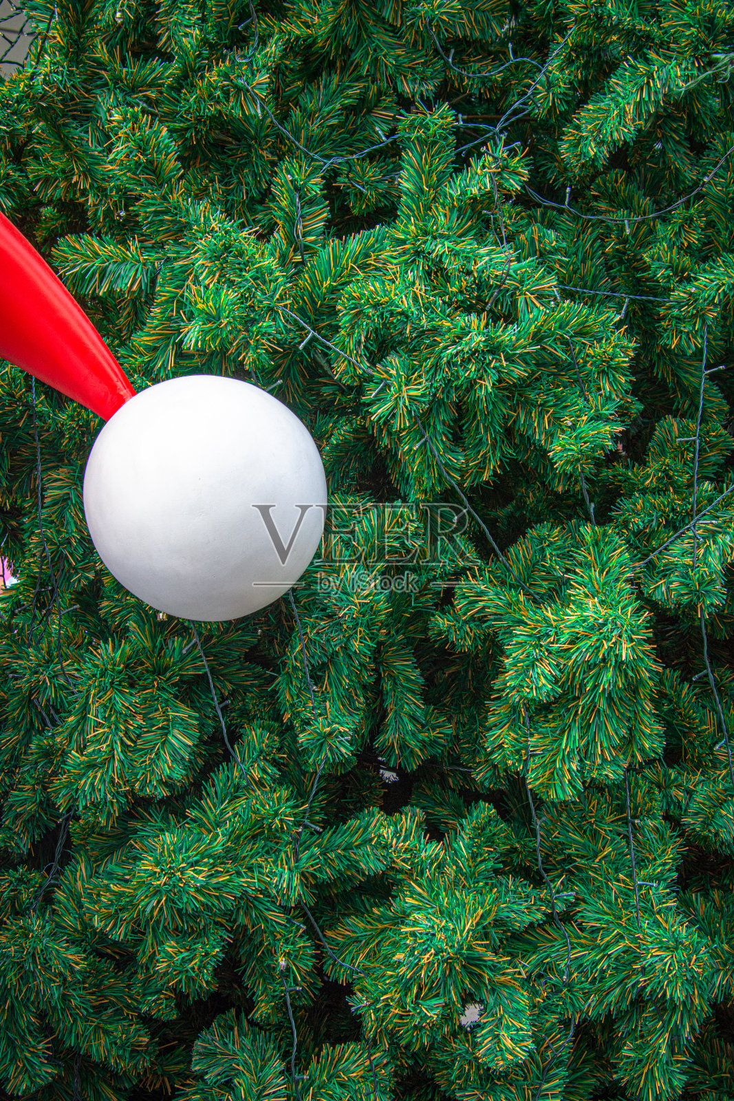特写圣诞树的树枝纹理。照片摄影图片