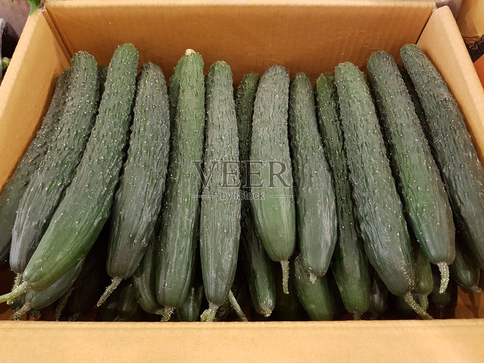 纸盒里的新鲜绿黄瓜照片摄影图片