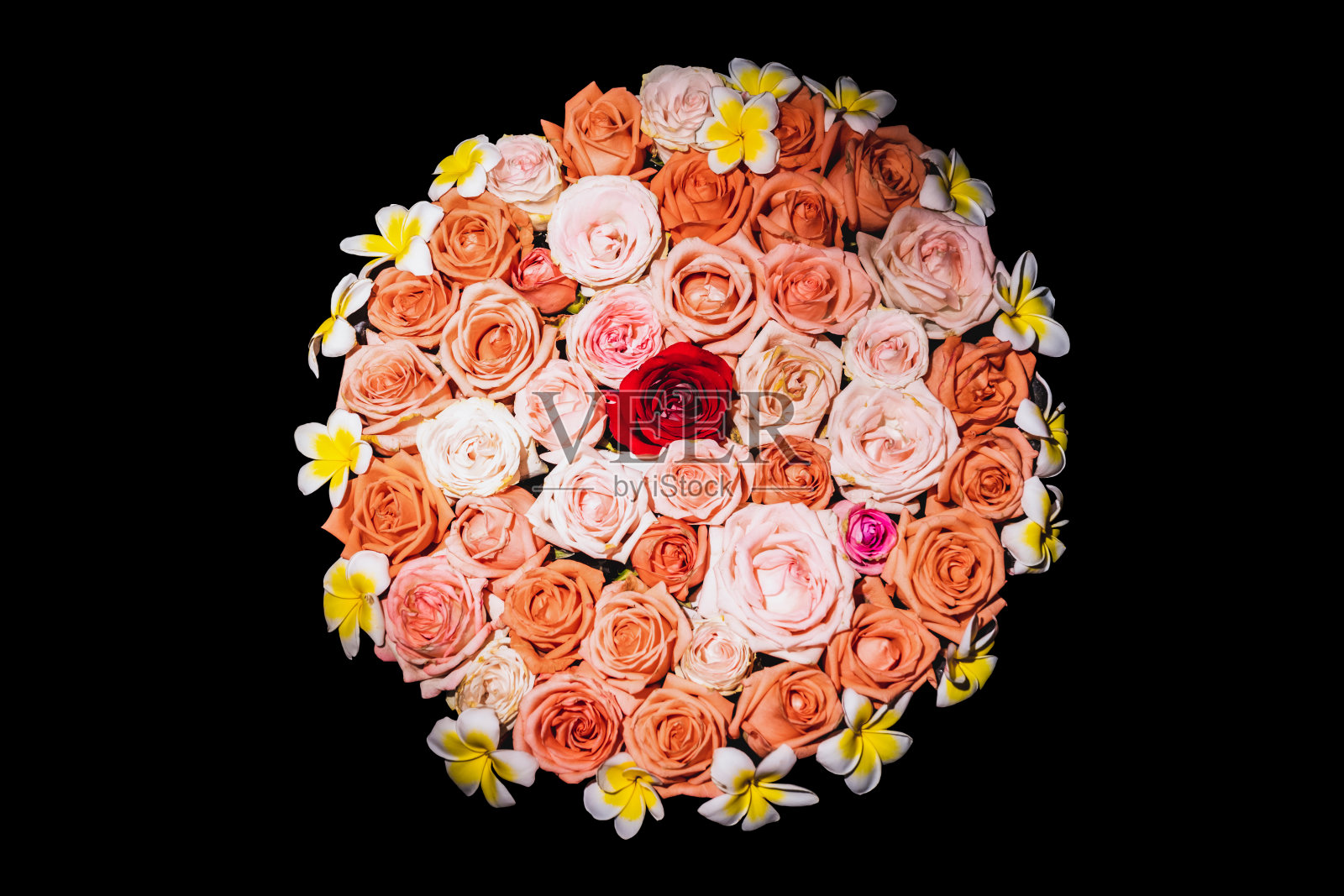 玫瑰被放在一个陶土盆里来装饰这个地方。照片摄影图片