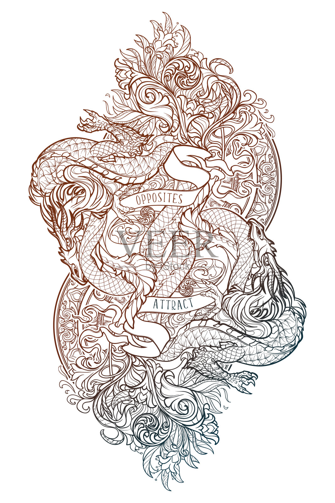 两个龙战斗插画图片素材