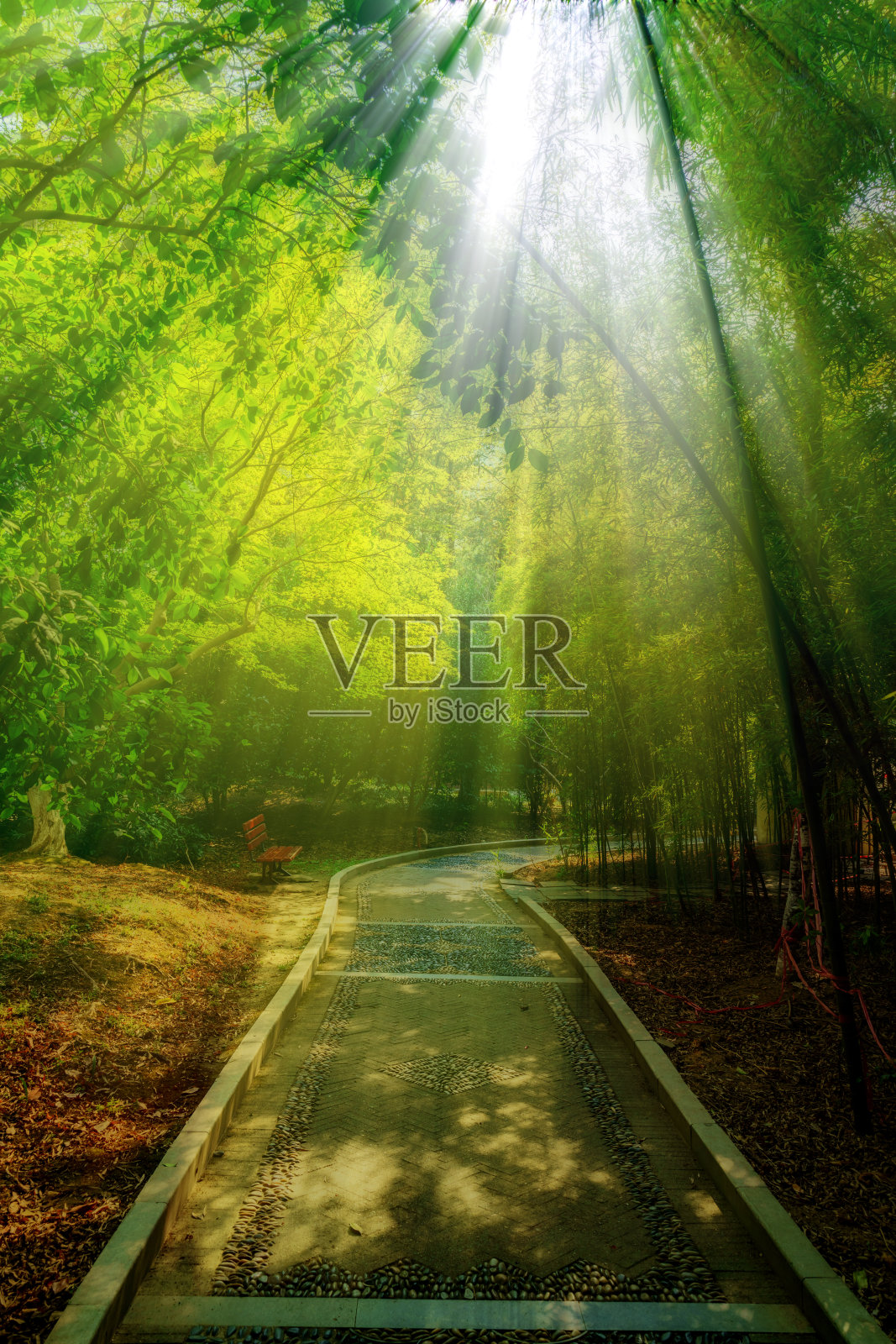 中国南昌人民公园的秋天照片摄影图片