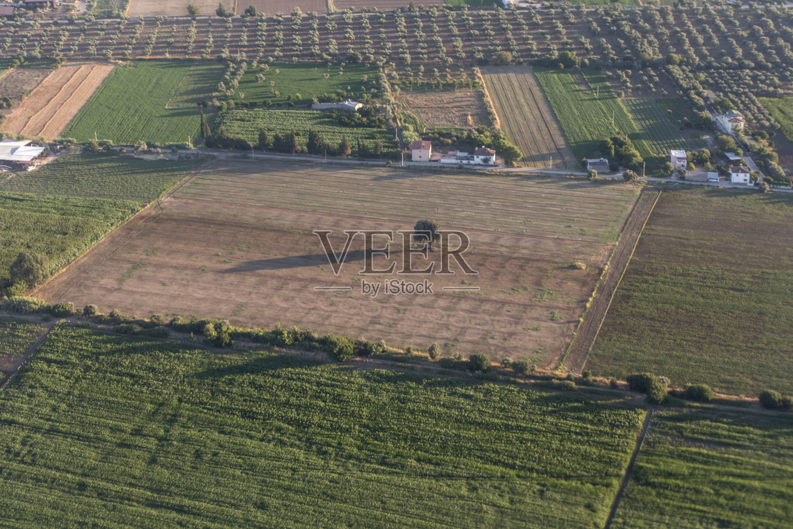 土耳其milas mugla附近安纳托利亚一侧的乡村和农田照片摄影图片