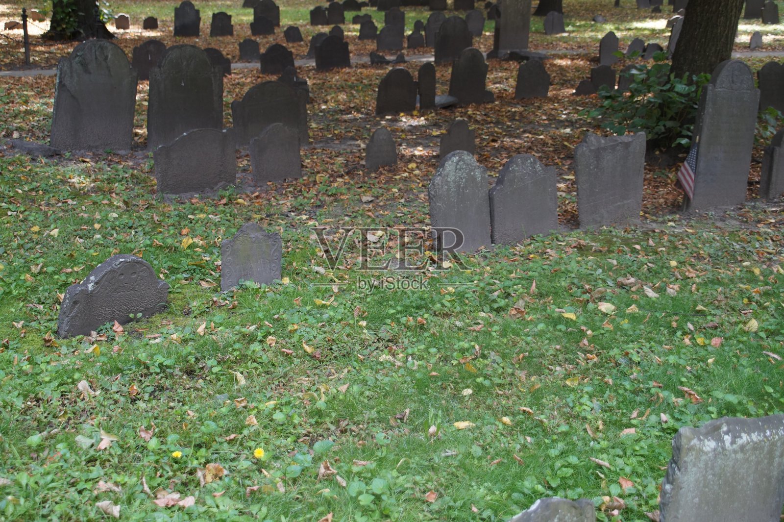 美国马萨诸塞州波士顿的老公墓照片摄影图片