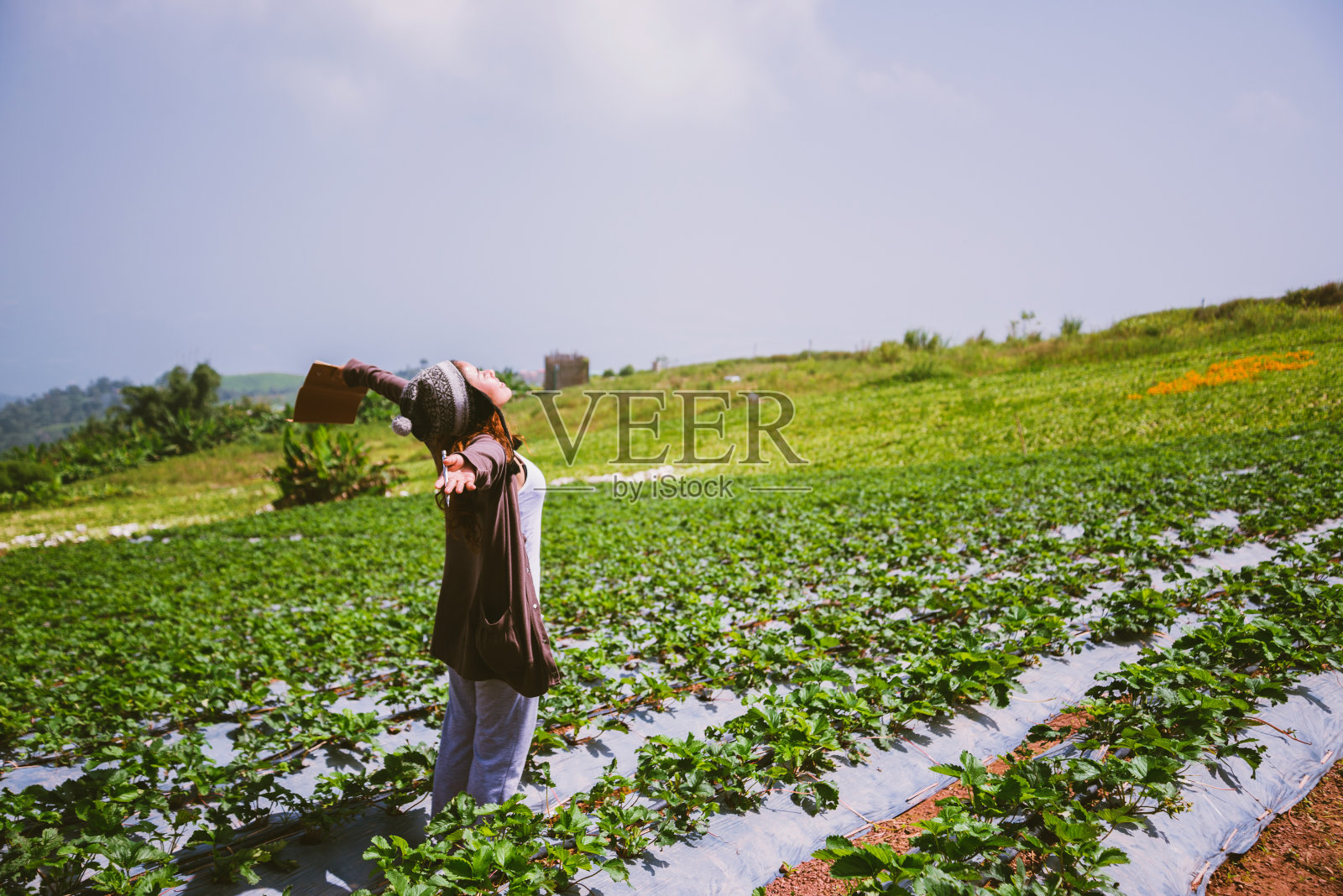 亚洲女性旅游自然。旅行放松。女孩在菜园里看书。在花园里写一个便条，草莓。泰国照片摄影图片