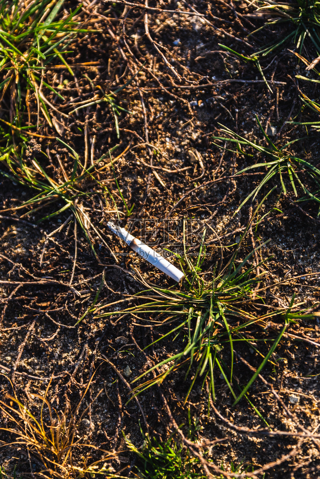 一半的人躺在草地上抽着烟照片摄影图片