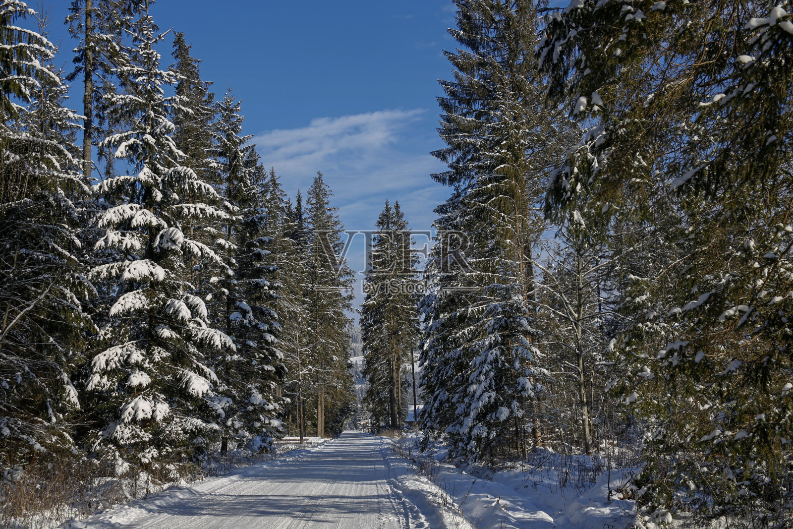 冬天的山路在阳光明媚的一天照片摄影图片
