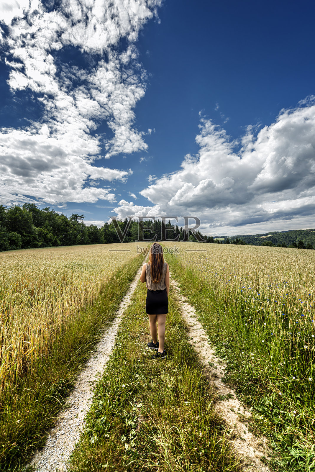 夏天，长着原木头发的富家女照片摄影图片