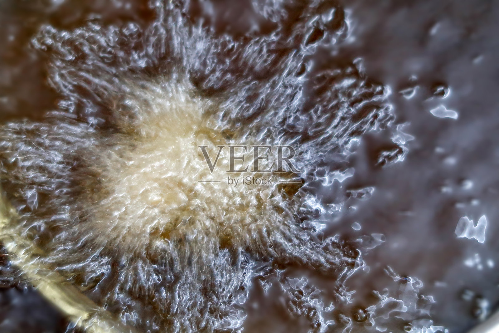 锅里的油沸腾照片摄影图片