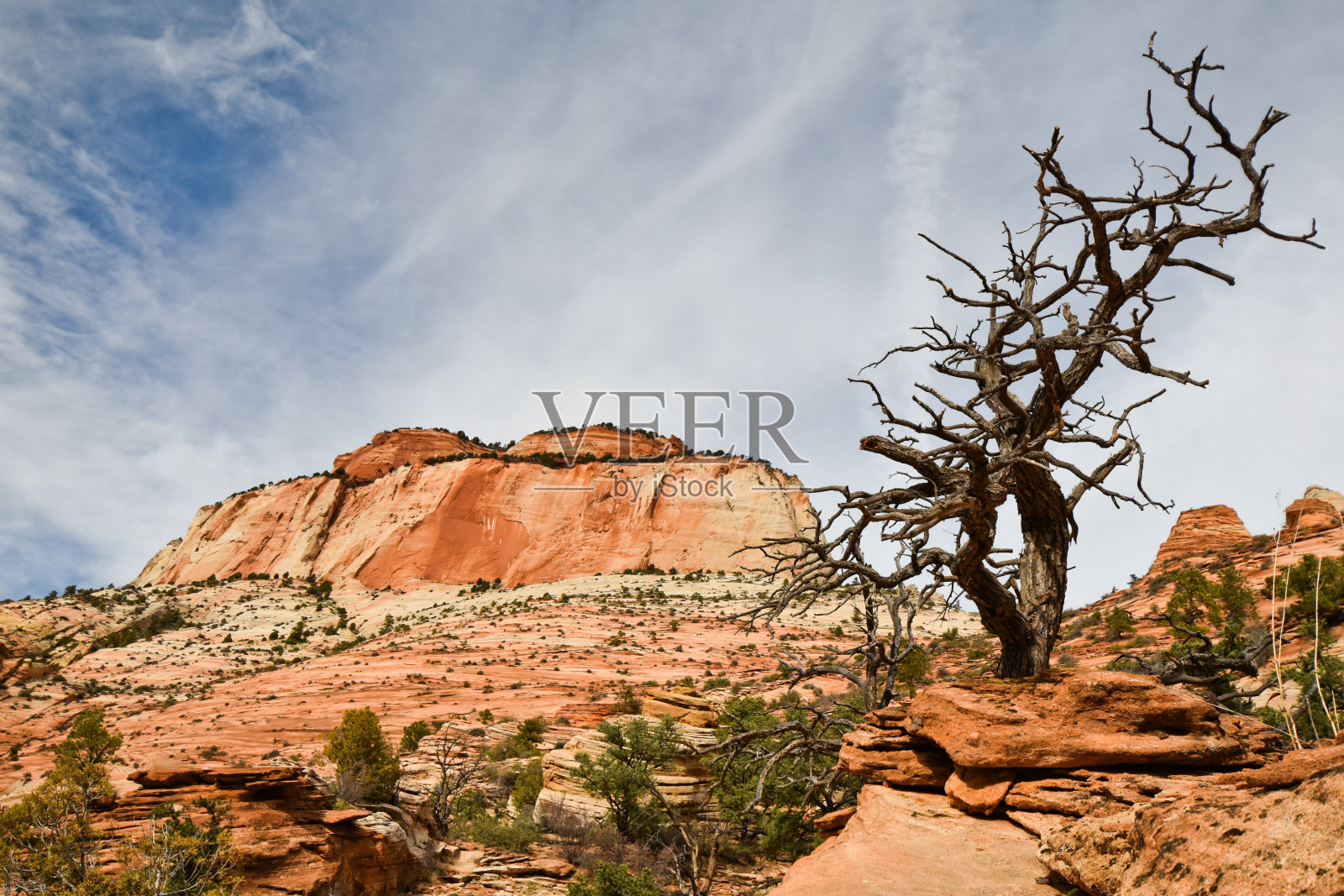 锡安国家公园风景优美照片摄影图片