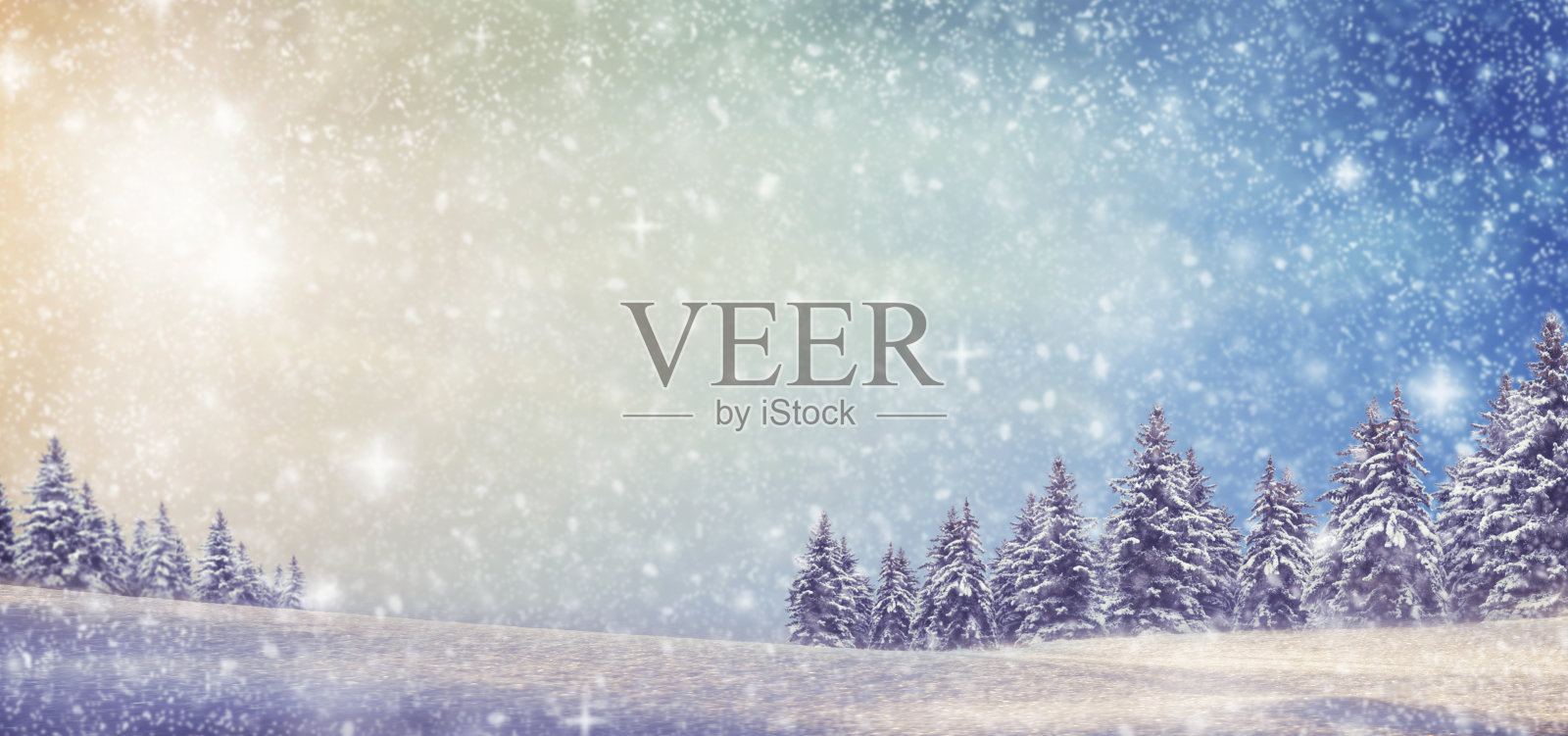 冬季自然背景。冬季树木的背景。白雪覆盖的森林背景桌面图像。空间的文本。照片摄影图片