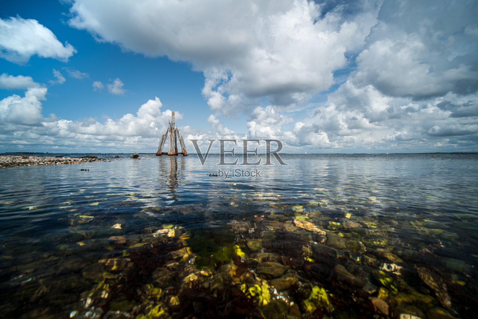 在荷兰泽兰的一个格里夫尔湖中的三脚木制鸭子。照片摄影图片