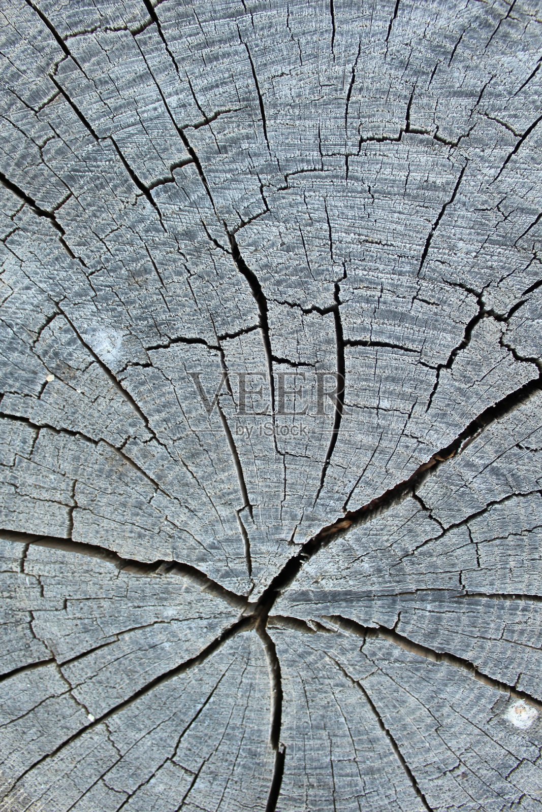 木制背景。照片摄影图片